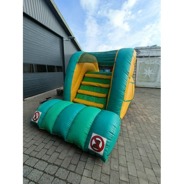 Leje af Rutsjebane Skildpadde