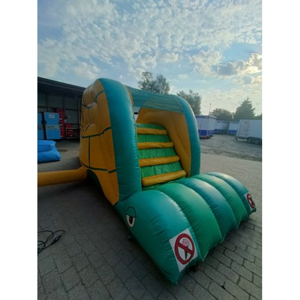 Leje af Rutsjebane Skildpadde