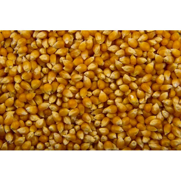 Premium Gold Popcorn 5 kg i pose